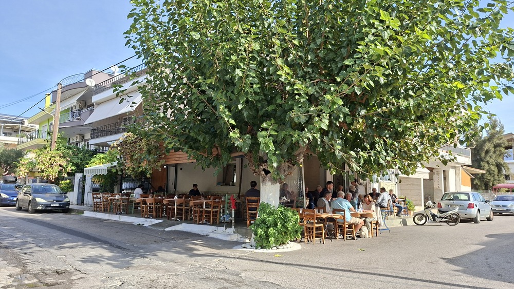 Η Μουριά 3